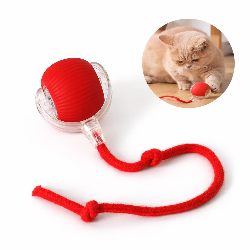 Felya – Compagnon interactif pour chat d’intérieur