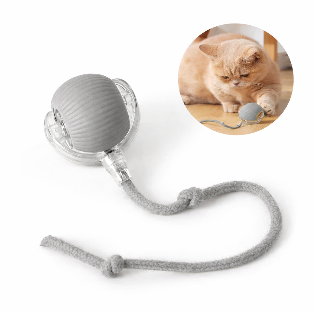 Felya – Compagnon interactif pour chat d’intérieur